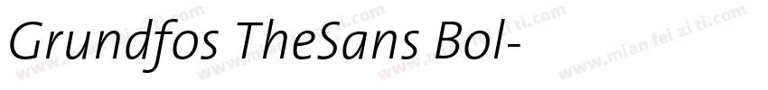 Grundfos TheSans Bol字体转换